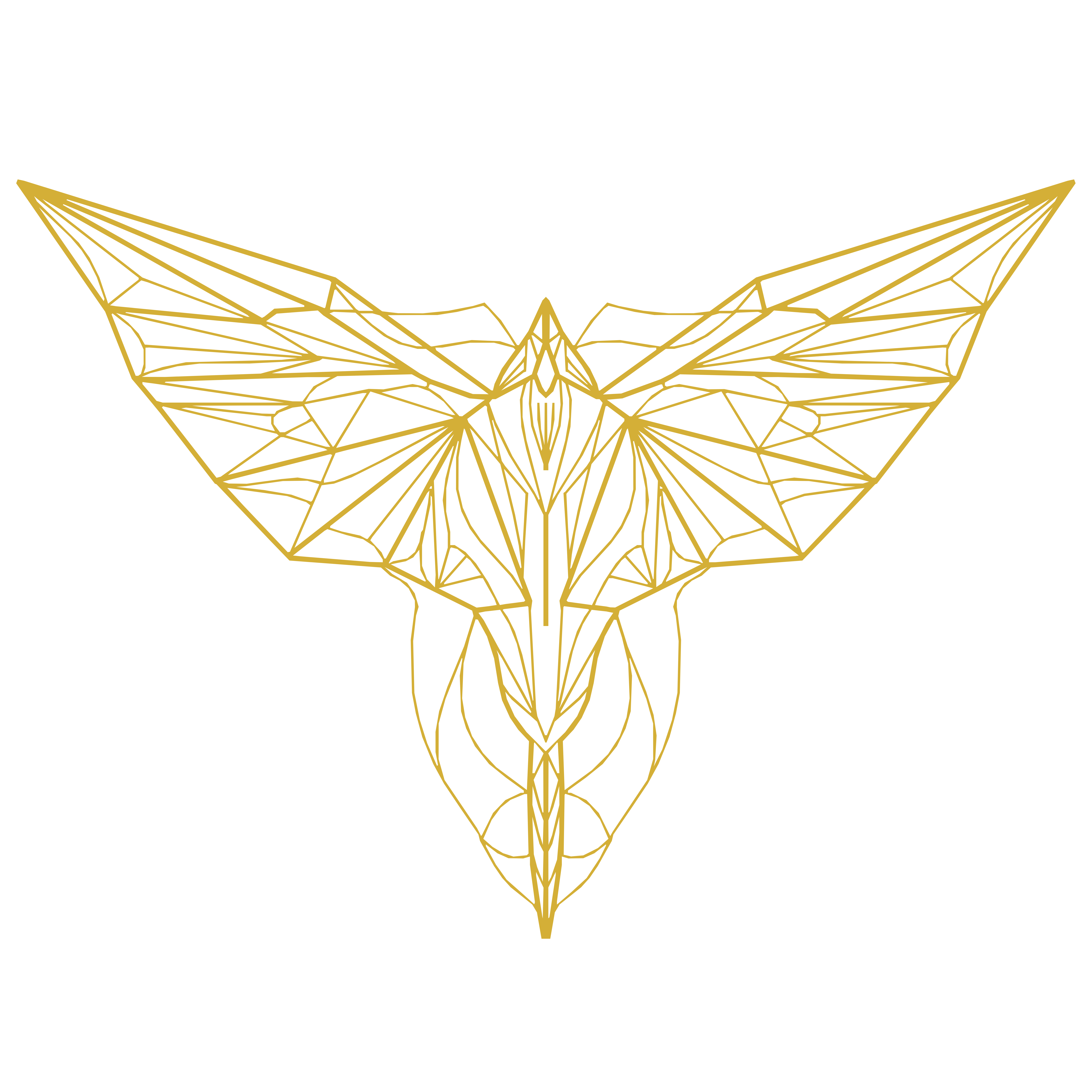 Centered Image